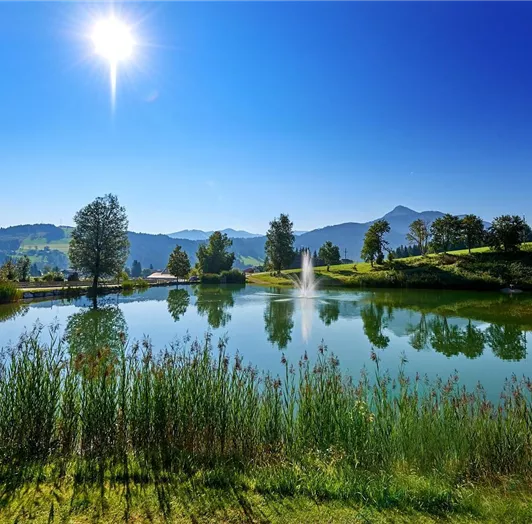 Swimming lake Reitdorf