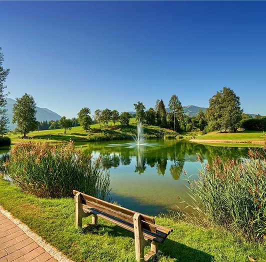 Lake in summer