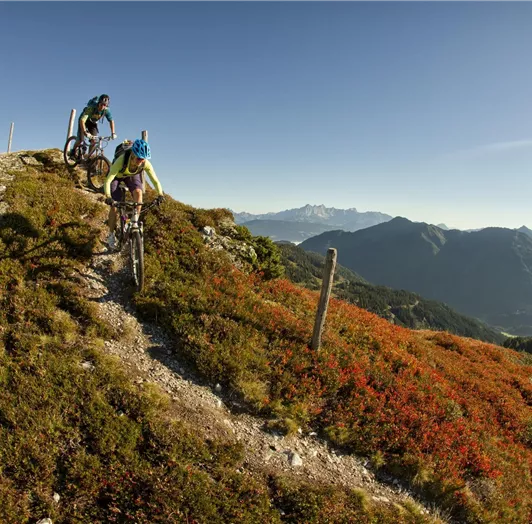Salzburg_Special_Flachau_046