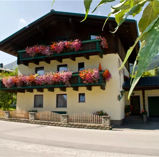 salzburgerhof und app. und pension 164