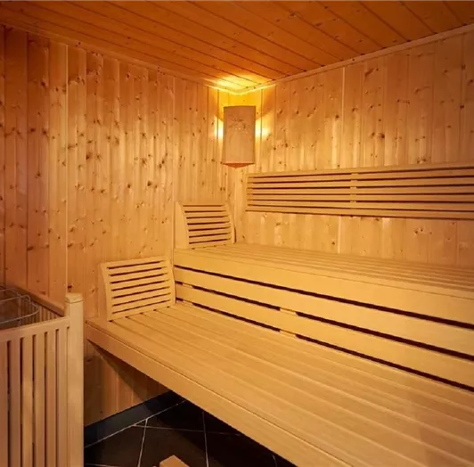 sauna-gross