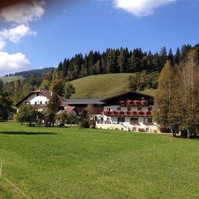Scharfetthof - Sommer
