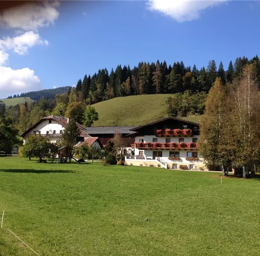 Scharfetthof - Sommer