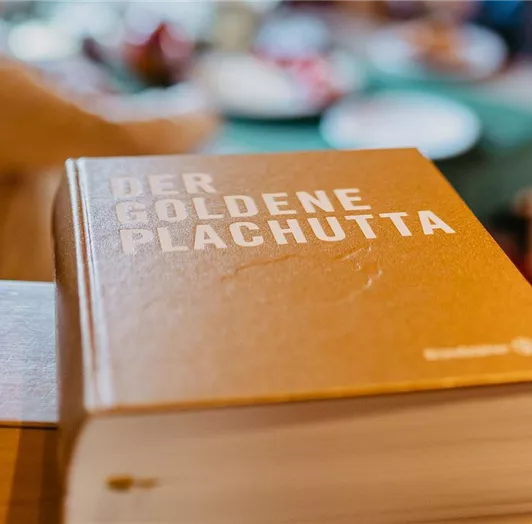 schloss-chalet-flachau-salzburg-11