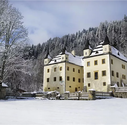 Schloss Höch Winter