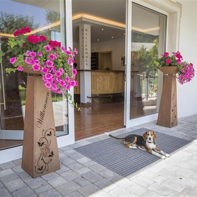 Unser gästefreundliche Hund Heide vor dem Hotel Paradies