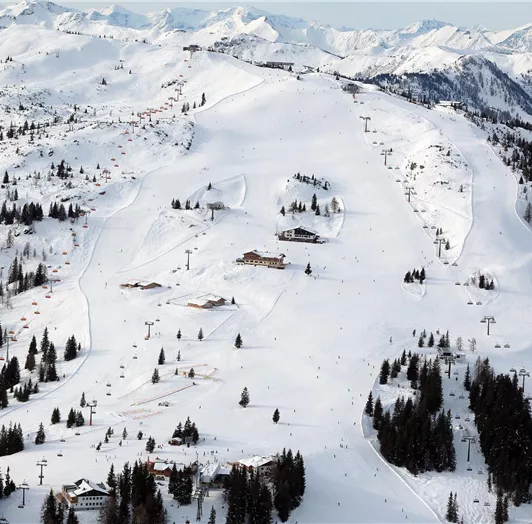 Shuttleberg Flachauwinkl/Kleinarl