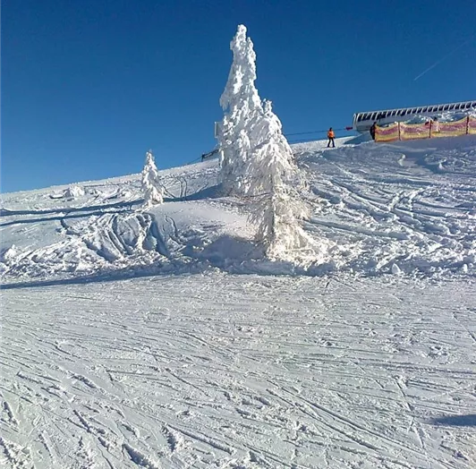 Skipiste Grießenkar