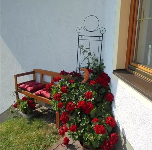 SOMMER (10)