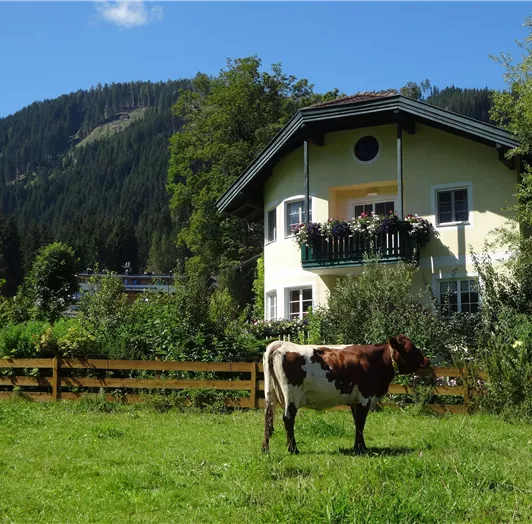 Sommer