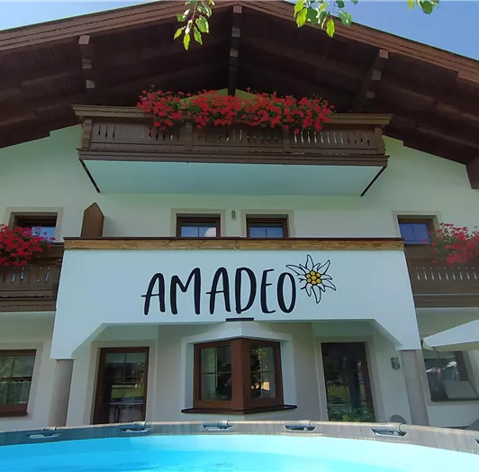 Sommer Haus Amadeo Flachau