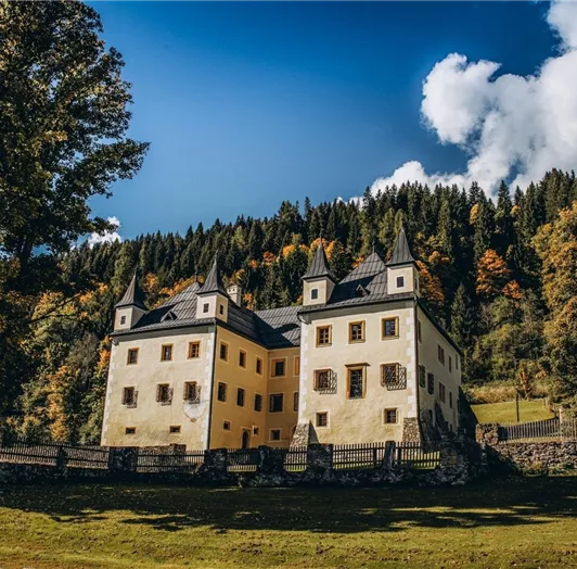 sommer-landschaft-flachau-fourpeaks-appartment-6