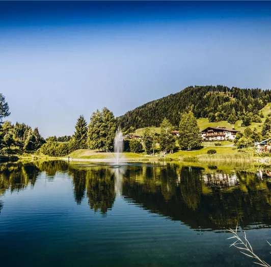 sommer-landschaft-flachau-fourpeaks-appartment-16