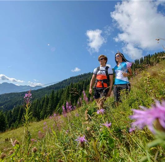 Zwei Wanderer genießen die Natur auf einem blühenden Hügel. Im Hintergrund erstrecken sich grüne Berge und ein klarer blauer Himmel.