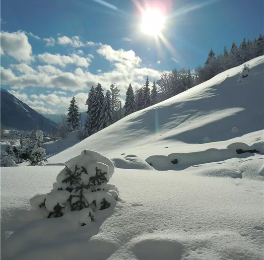 Sonne über Flachau 11.1.2019
