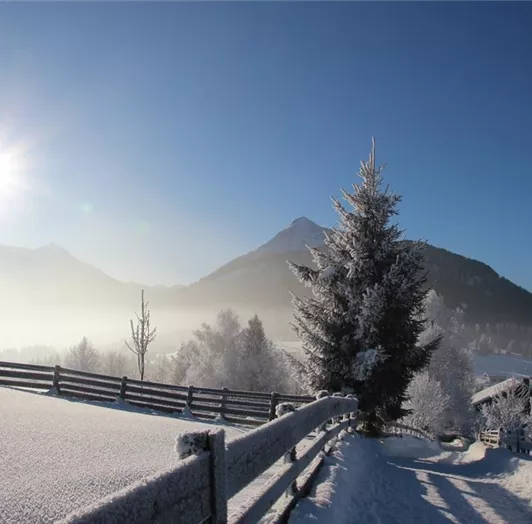 sonniger Blick Richtung Lackenkogel