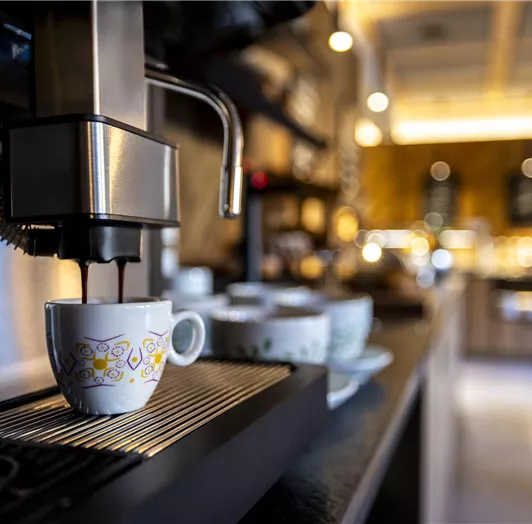 Speisesaal_Webaufloesung-12