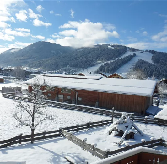 Stall mit Piste im Hintergrund