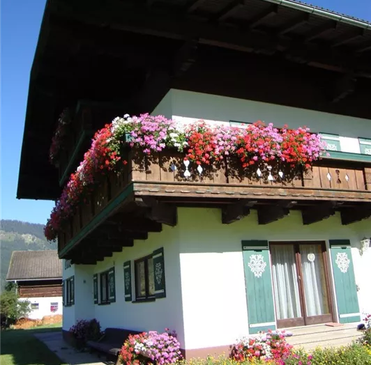 Südansicht Haus Ottilie