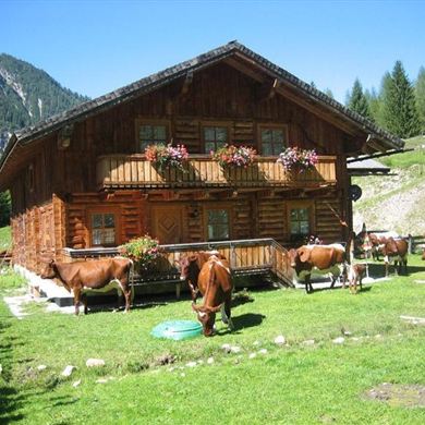 Thurnhofhütte - Sommer