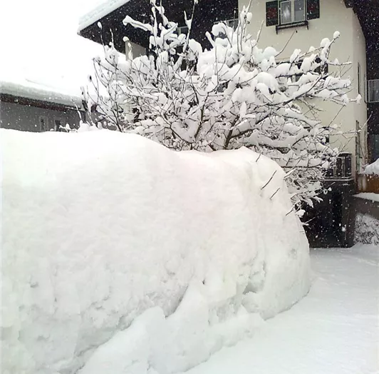 Tiefverschneit Haus Lammegger