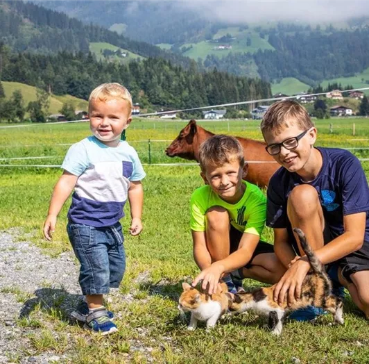 tiere-kinder-bauernhofurlaub-flachau-fingerhof-1-1