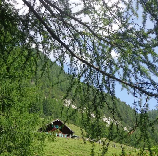 Unterpleisslingalm
