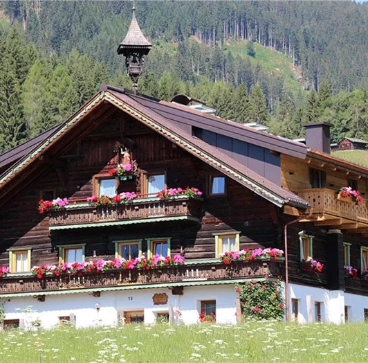 urlaub-salzburger-land005