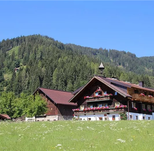 urlaub-salzburger-land006