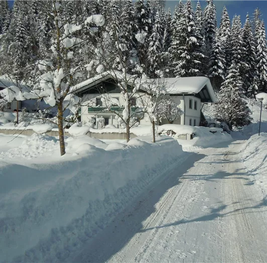 viel Schnee im Jänner 11.01.2019
