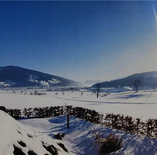 Vogelhaus Blickrichtung Schladming