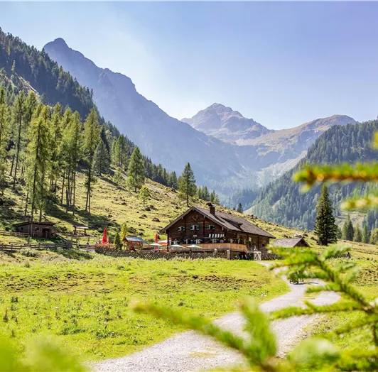 Eine malerische Alm umgeben von hohen Bergen und dichten Wäldern. Der Weg führt durch eine grüne Wiese hin zur Hütte.