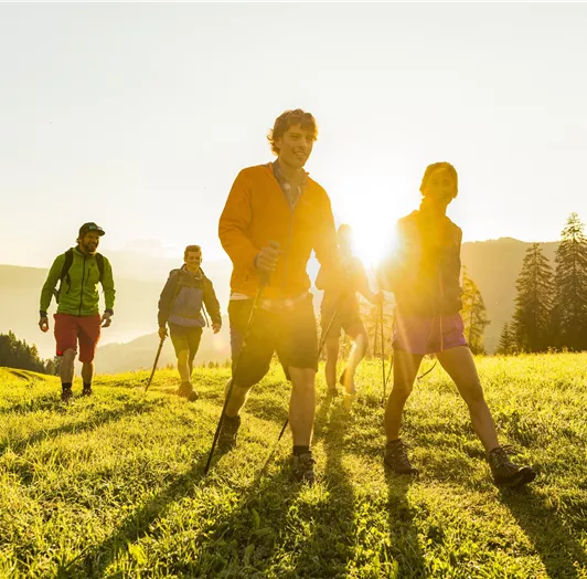 Eine Gruppe von Wanderern auf einer grünen Wiese bei Sonnenuntergang. Sie genießen die Natur und die frische Luft.