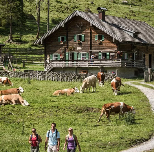 Wanderung zur Prechtlalm