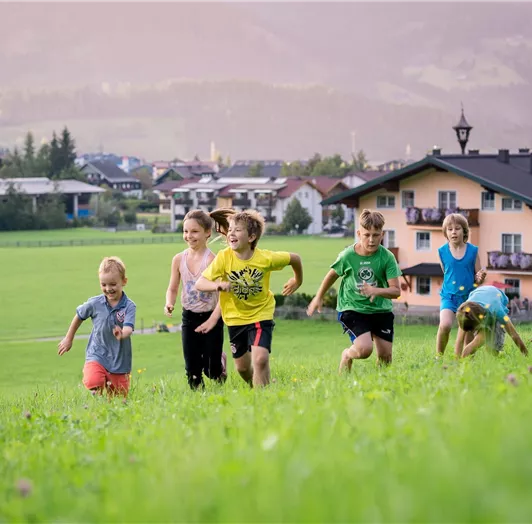 Wechslerhof2015kl 249
