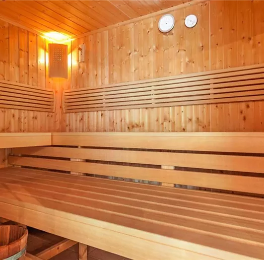 wellness-finnische-sauna-gross