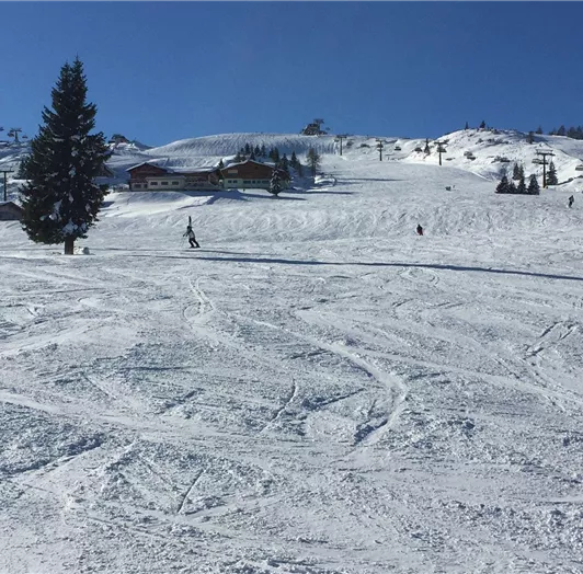 Winter 123