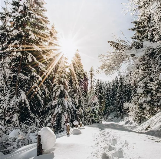 winter-flachau-landschaft-fourpeaks-appartement-6