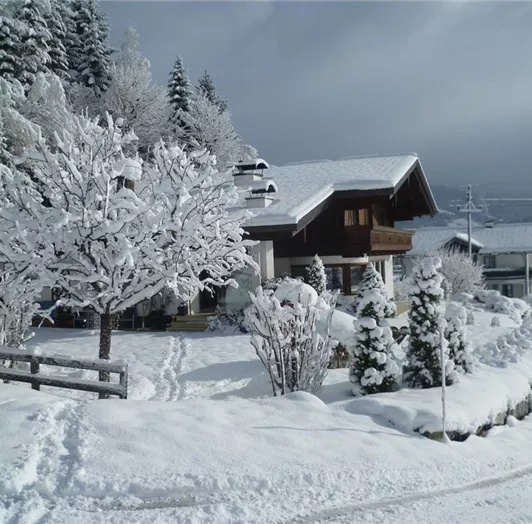 Winter in Flachau