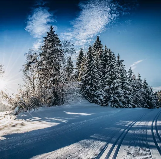 winter-landschaft-flachau-fourpeaks-appartment-19