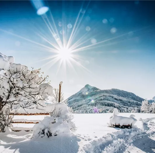 winter-landschaft-flachau-fourpeaks-appartment-32