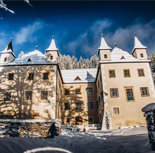 winter-landschaft-flachau-fourpeaks-appartment-51