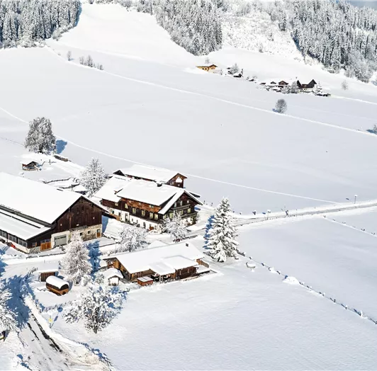 Winter Wonderland
