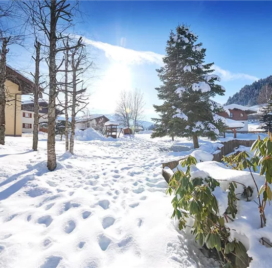 Winteraufnahme Sonnberg