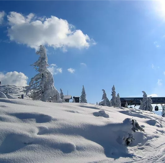 Winterlandschaft Grießenkar