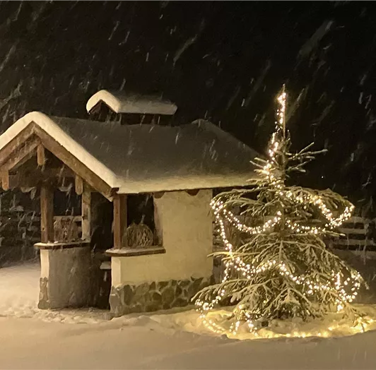 Winterlandschaft pur