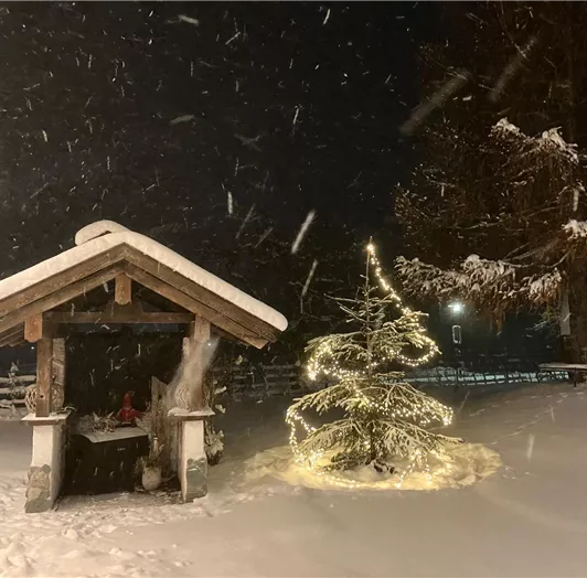Winterlandschaft pur