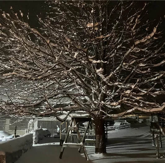 Winterlandschaft pur
