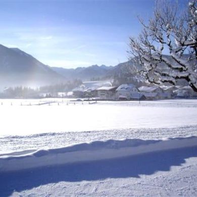 Winterlandschaft pur