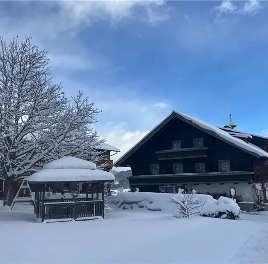 Winterlandschaft pur